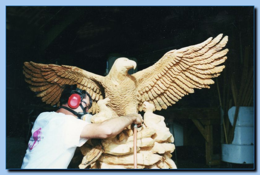 2-16 eagle with wings out, attached -archive-0015